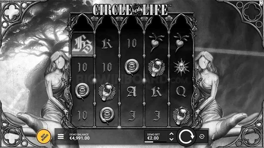 Live Baccarat Dealer