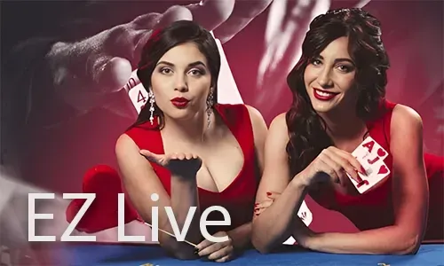 Bingo Bonus Offers